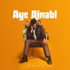 About Aye Ajnabi Song