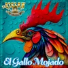 About El Gallo Mojado Song