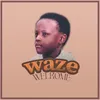 About Waze Song