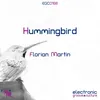 About Hummingbird Song