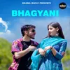 About Bhagyani Song