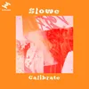 About Calibrate Song