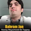 About Nawey Mayantoob De Tappey Song