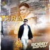 About Tera Cheta Song