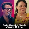 About Zawali W Fhel Song