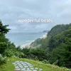 About wonderful beats Song