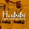 About Habibi Arabic Music Trap Song