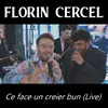 About Ce face un creier bun Song