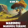 MARINDU RINDU SURANG