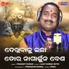 About Dekhibaku Icha Tora Nagarjuna Besa Song