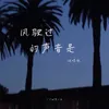 风驶过的声音是