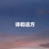 About 诗和远方 Song