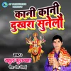 About Kani Kani Dukhra Sunelau Song