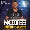 About Noites Intermináveis Song