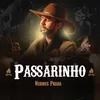 About Passarinho Song