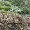 About cut beats Song