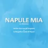 About NAPULE MIA Song