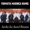 About Sarba lui Aurel Breazu Song
