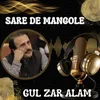 About Sare De Mangole Song