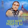 About Haider Haider Hogaya Aj Song
