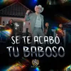 About Se Te Acabó Tu Baboso Song