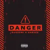 About Danger Song