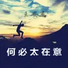 About 何必太在意 Song