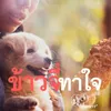 About ข้าวจี่ทาใจ Song