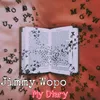 About My Diary Song