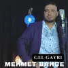 About Gel Gayrı Song