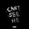 About Can't See Me Song