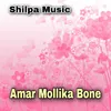 About Amar Mollika Bone Song