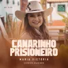 About Canarinho Prisioneiro Song