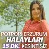 About Erzurumun Güzelleri / Göleli Gelin / Şengülüm Nanay / Ördeği İpek İnen Bağlamışlar / Leyla Leyla / Sarı Papuç Song