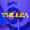 About Trillea Song