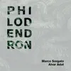 About Philodendron Song