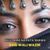 About Bus Lama Na Pata Shawa Song