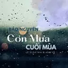 About Cơn Mưa Cuối Mùa Song