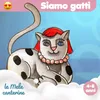 About Siamo gatti Song