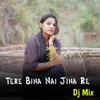 Tere Bina Nai Jina Re Dj Mix