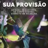 Sua Provisão