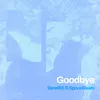 About Goodbye Song