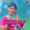 About Chilakalanti Chinnadanni Song