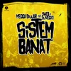 About Sistem Banat Song