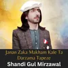 About Janan Zaka Makham Kale Ta Darzama Tapeze Song