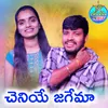 About Cheniye Jagema Song