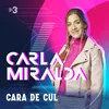 About Cara De Cul Song