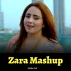 About Zara Mashup Song