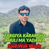 About Zargiya Karar Sha Khuli Ma Yadawa Song