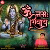 About Om Namah Shivay Song